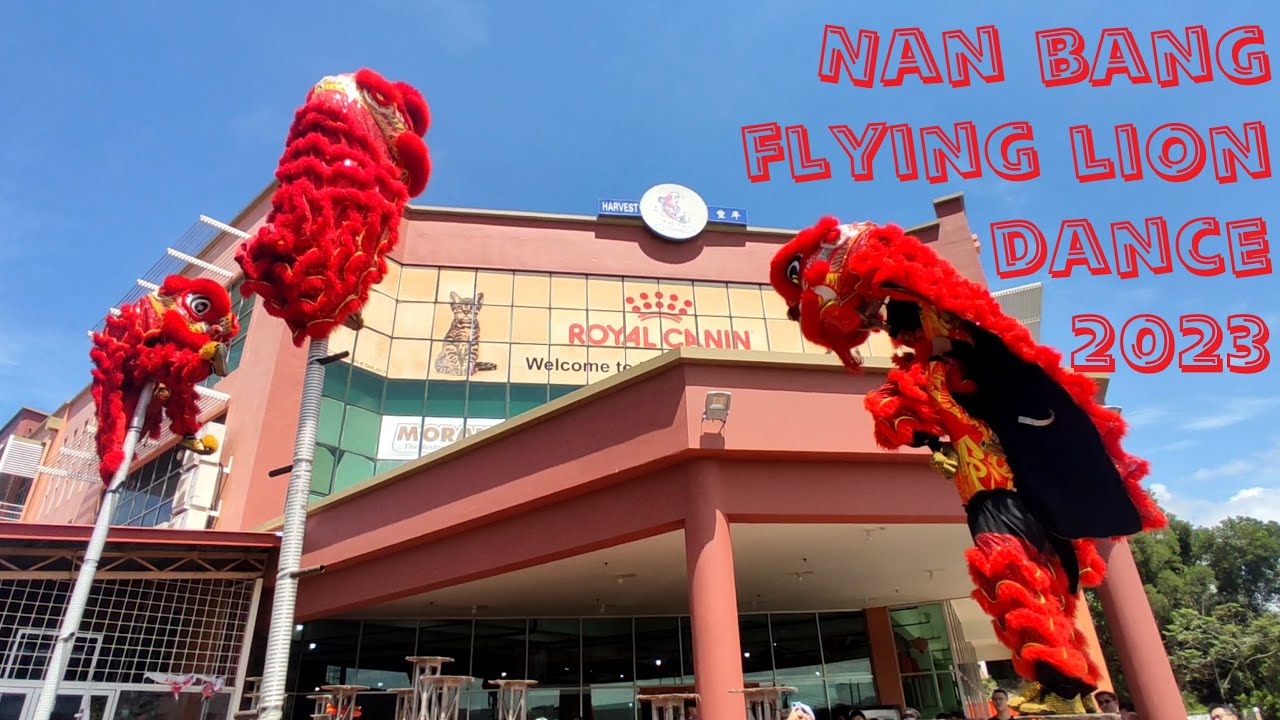 DRAGON DANCE and LION DANCE Performance By NAN BANG LION DANCE at HARVEST FISH, Kota Kinabalu