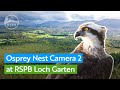 Live osprey nest  rspb loch garten