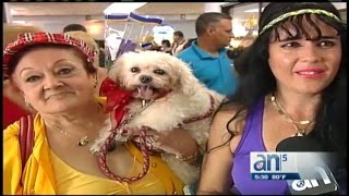 Así se vivió el día de San Lázaro en Miami - América TeVé