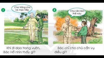 kể chuyện lớp 1 khúc rễ đa sách chân trời sáng tạo