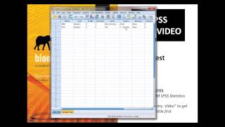 t-test in SPSS