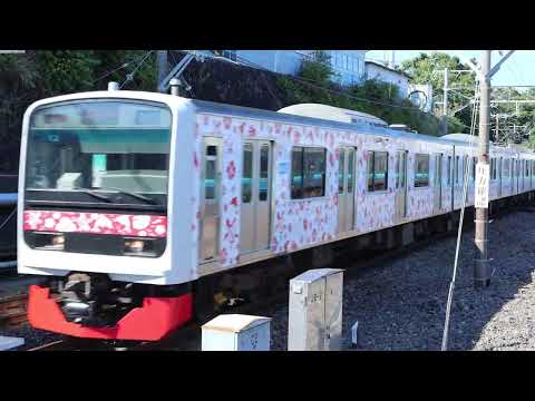 伊豆急3000系アロハ電車　伊豆高原駅到着