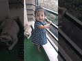 Cutest Baby in the world... ❤️ Poster Baby #cute #shorts #short #youtubeshorts #youtube