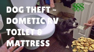 Dog Theft ~ RV Toilet &amp; Mattress