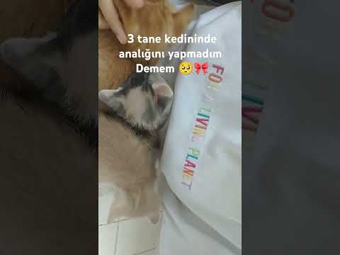🎀😭Üç kafadar uyuyoo biri ayakta geziniyo😭🎀//@Zoe._.Official100 // #newtherian #türktherian