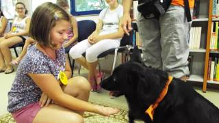 Olvasótábor 2017.08.01. 2