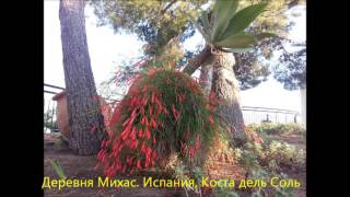 видео Андалусия Испания, описание и достопримечательности Андалусии