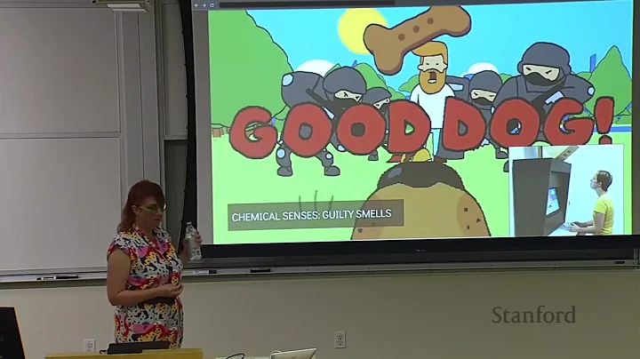 Stanford Seminar - Exuberant Systems: Game Design ...