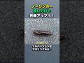 沈み蟲解説 #バス釣り #バスプロ