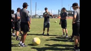 Area Code Baseball Training Camp