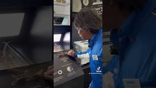 高橋哲也がおすすめする偏光サングラス。用途や状況に応じてレンズカラーを選択すれば、釣りがもっと快適に