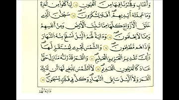 سورة يس ثمن [ وما أنزلنا على قومه من بعده من جند من السماء وما كنا منزلين ]