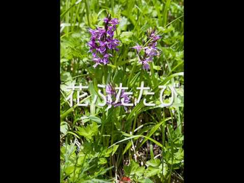 花ふたたび_0001.wmv