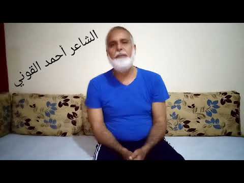 مش عايزه انا الافندي 