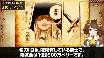 ビッグマム海賊団 Youtube