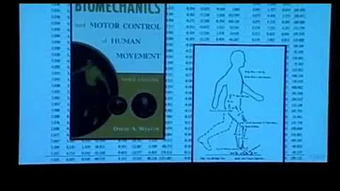 Presentation at Dynamic Walking 2010 (MIT)