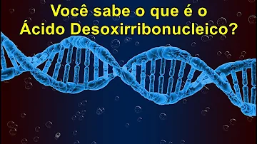 São características do ácido desoxirribonucleico?