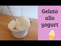 Gelato fatto in casa allo yogurt semplice e veloce con gelatiera lidl