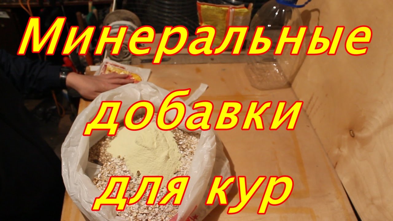 Карина сервис минеральная Карина сервис минеральная