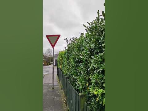 Зимой и летом одним цветом!!!! - YouTube