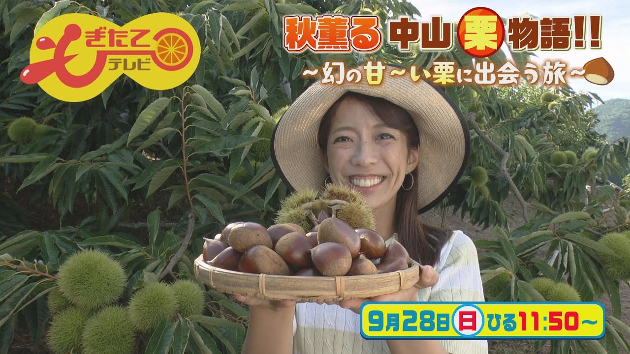 幻の栗⭐︎中山栗2L~4L混合10kgクール便（匿名不可）農家直送2025-019