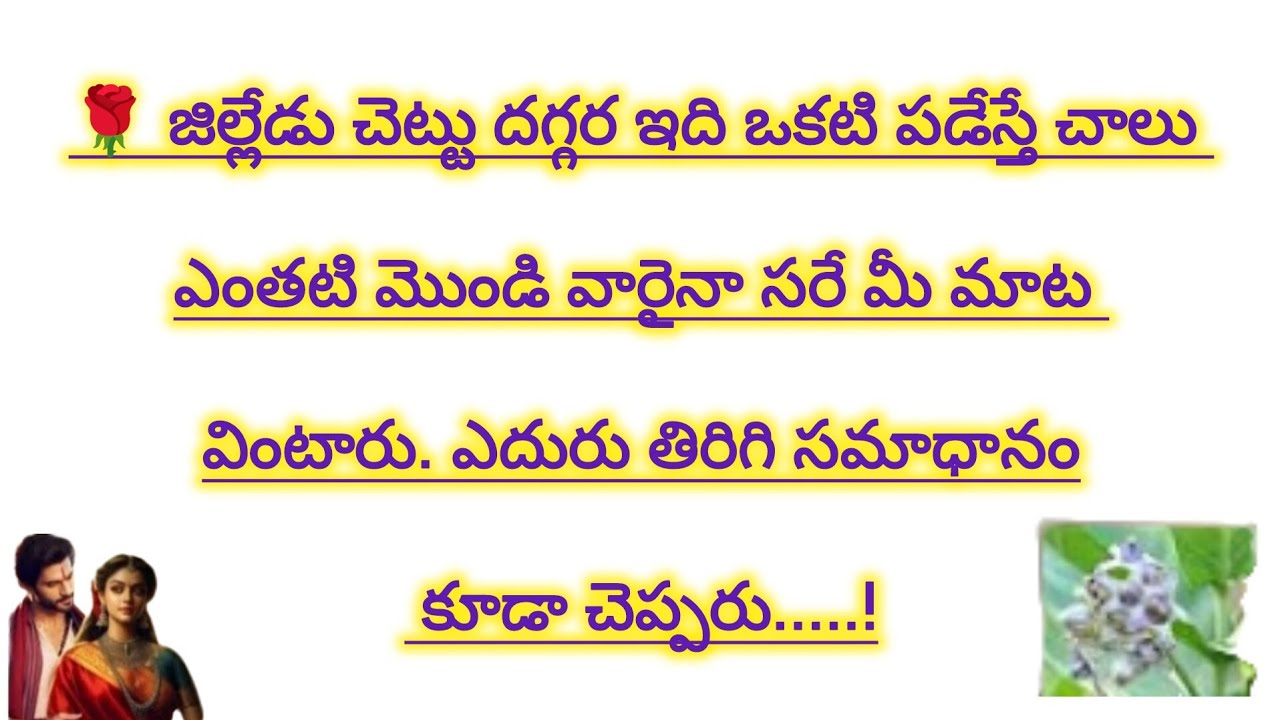 జిల్లేడు చెట్టు దగ్గర ఇది ఒకటి పడేస్తే చాలు ఎంతటి మొండి వారైనా సరే మీ మాట వినాల్సిందే|