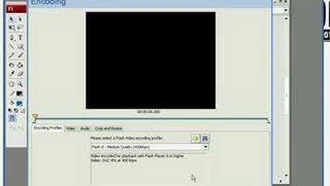 dataFizz, Inc. · Importar Video en Flash CS3