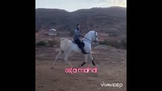 عشق بازی کار شیاد نیست                                              I love my horse ?