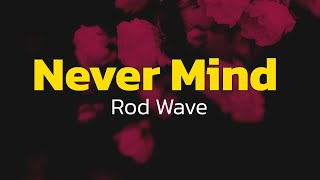 Rod Wave - Never Mind (Lyrics)