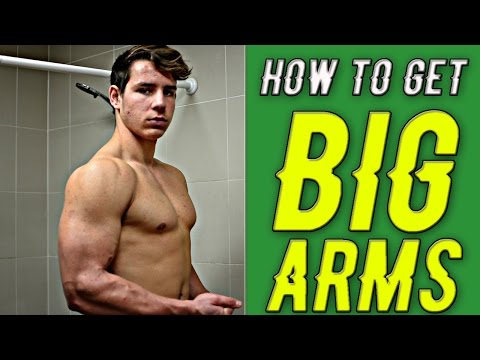 The Easiest Way To Get Muscular Arms, Introducing The Gripster – MuscleMax