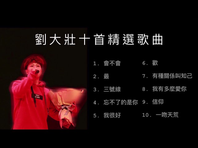 【合輯】劉大壯十首精選歌曲｜抖音熱門歌曲｜熱門中文歌 class=