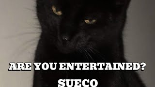 Are You Entertained?- Sueco - Slowed