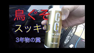 【DIY】車にこびり付いた鳥の糞を綺麗に取る動画　3年前に付いた糞！