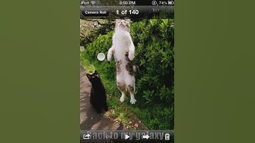 Find your photos in iFile