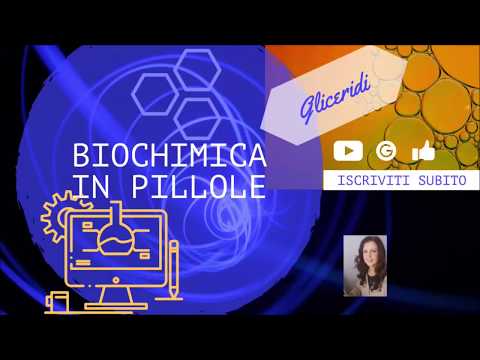 Video: Migliore Utilizzo Del Glicerolo Da Parte Di Un Ceppo Di Opacus Rhodococcus Che Produce Triacilglicerolo Per Carburanti Rinnovabili