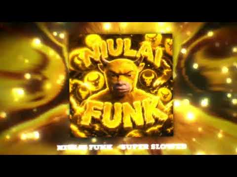 NIULAI FUNK - TORBAHED& HICKD4D (ORIGINAL/SLOWED/SUPER SLOWED)