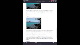 WEB101 Chapter 5 Images