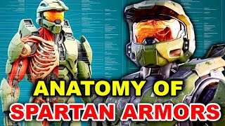 Spartan Armor Anatomy Explored – Can Anybody Wear This Armor And Become A Superhuman? | Halo