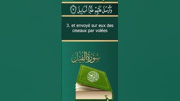 Sourate Al-Fil | Mohammed Al-Faqih (105) سورة الفيل | محمد الفقيه
