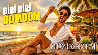 Diridiri Domdom Dinlemeden Yaz Tatiline Çıkmayın Müzi̇k Egem