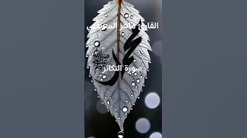 #ماتيسر_من سورة التكاثر بصوت القارئ الشيخ ماهر المعيقلي قناه القرآن الكريم الرسمية