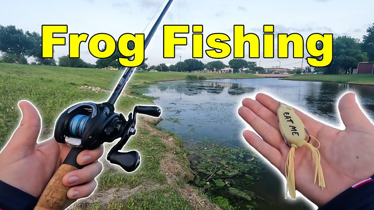 Spring Bass Fishing with Frogs! (May Pond Fishing Fort Worth, Texas ...