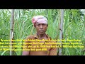 Natural farming by haren rabha