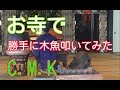 お寺で木魚叩いた結果・・・