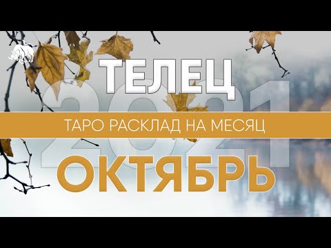 Бейне: Телец адамына қалай үйлену керек