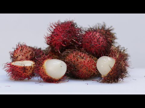 How to eat Rambutan fruit | What does Rambutan Taste like