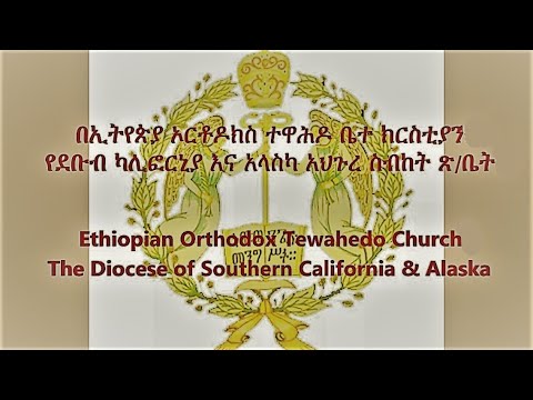 ቪዲዮ: ምርጥ የደቡብ ካሊፎርኒያ ቤተሰብ ዕረፍት