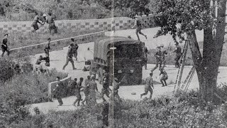 Operation Paul Bunyan: The Tree That Nearly Started a War