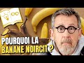 Pourquoi la banane noircit 🍌 | Confinement Jour 23