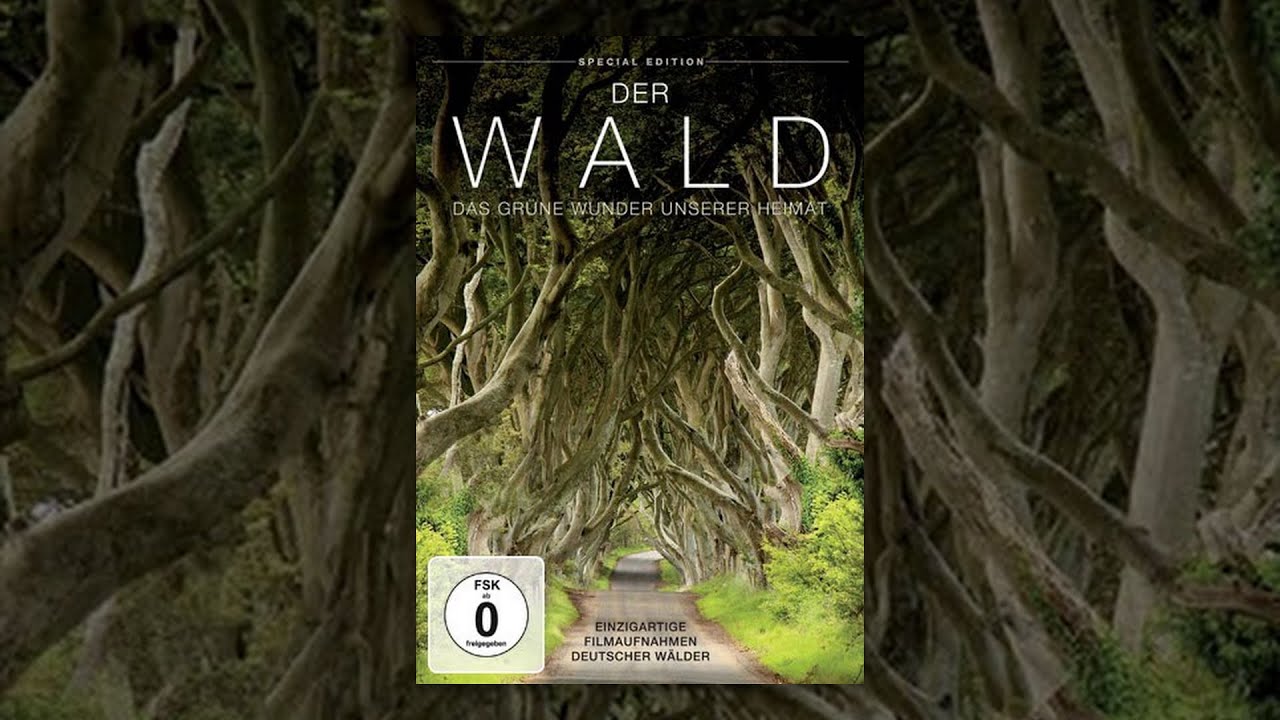 Der Wald